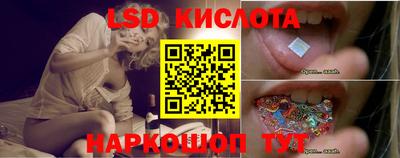 стафф Шебекино