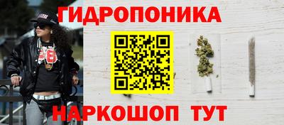 стафф Шебекино