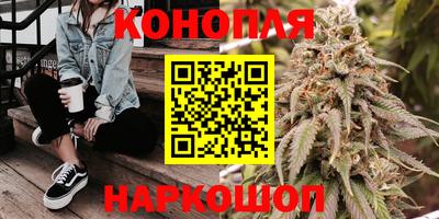 стафф Шебекино