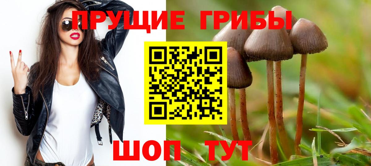 Псилоцибиновые грибы MAGIC MUSHROOMS  Вход с VPN  Белореченск 