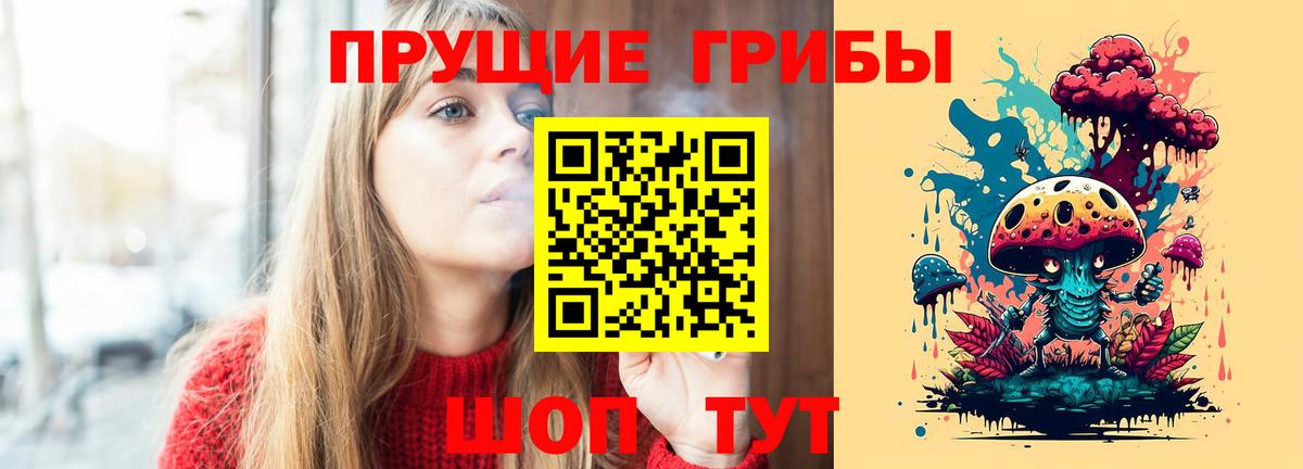 Псилоцибиновые грибы Cubensis Белореченск